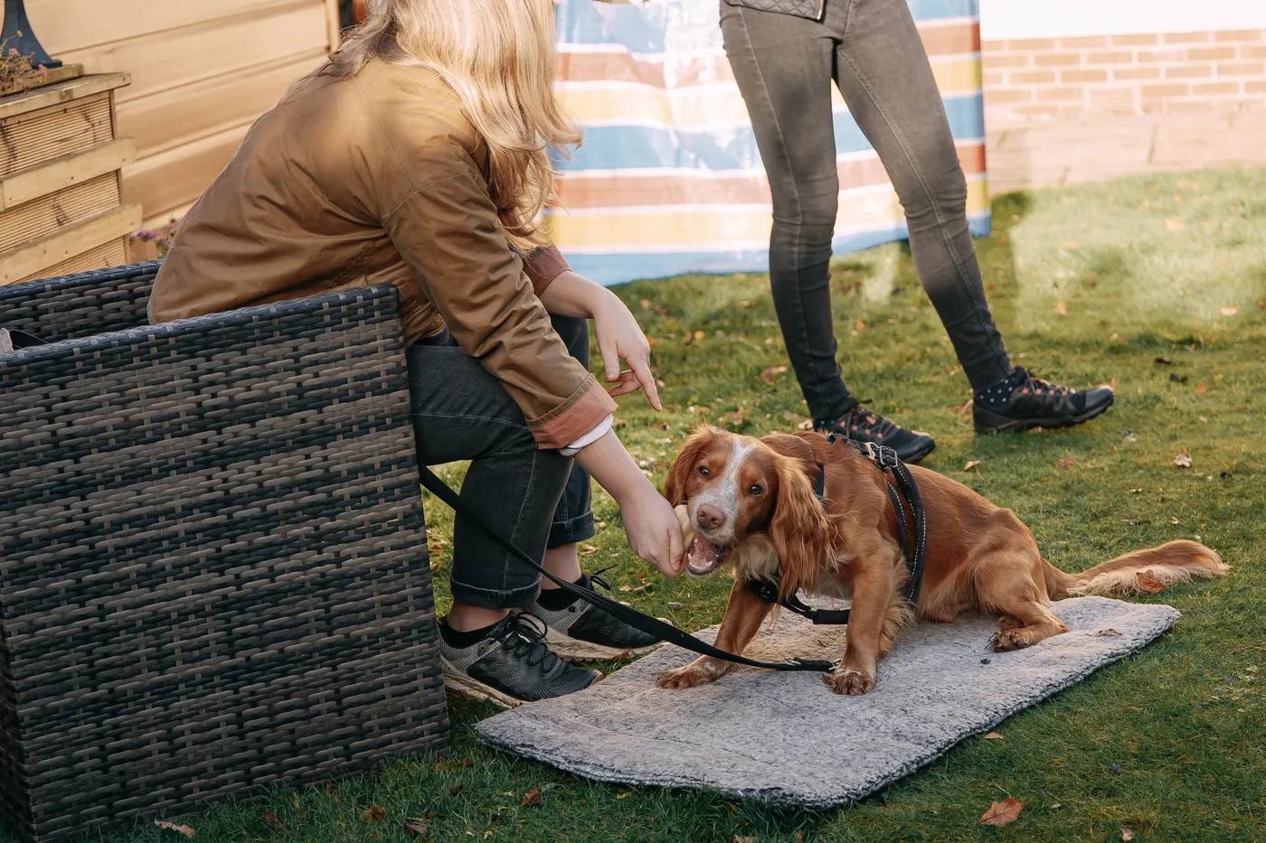 An owner rewarding her spaniel for settling on a mat