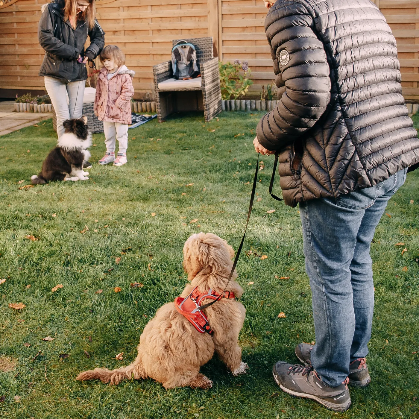 A little girl at a class with the family puppy nearby